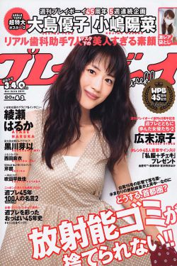 新女婿时代电视剧